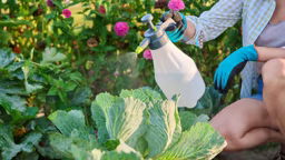 AdobeStock_555652065_11868_2023-09-14_15-46