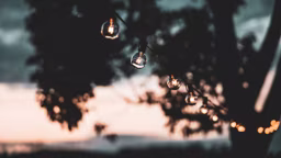 kristopher-allison-7V6lXgHrBrg-unsplash_11868_2023-09-08_11-35