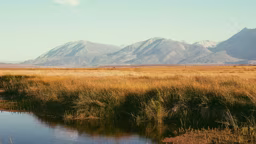 oz-seyrek-bIwAYmJaEWQ-unsplash_11868_2024-02-09_13-39