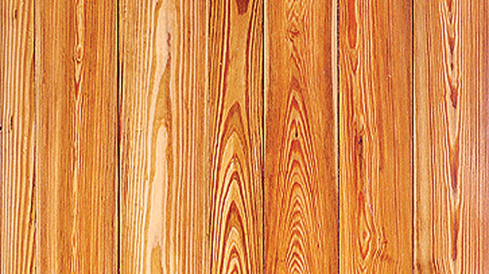 pine_11868_2024-02-05_10-15
